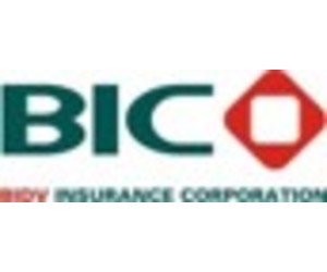 BIDV Insurance