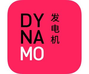 Dynamo Consulting