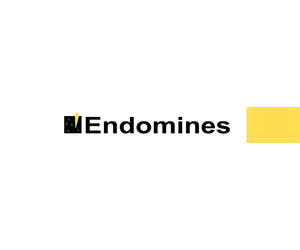 Endomines