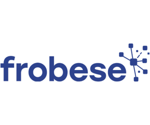frobese GmbH Informatikservices